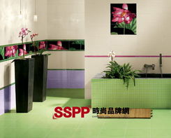 打造精致的家裝 演繹西方衛浴的美麗傳說